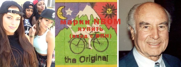 индика Горняк