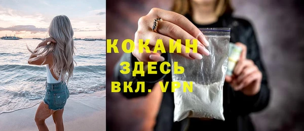 стафф Вязьма