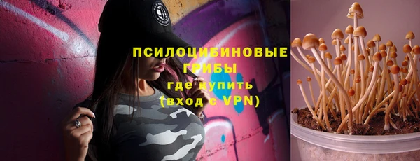 стаф Вязники