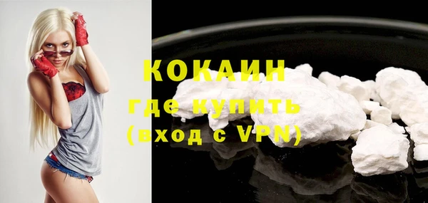 стаф Вязники