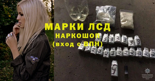 индика Горняк
