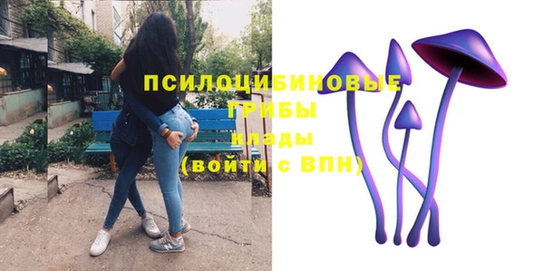 эйфоретик Горнозаводск