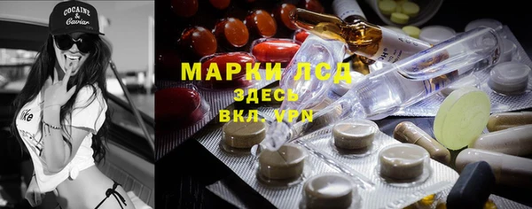 стафф Вязьма