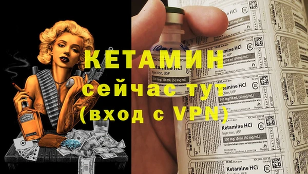 стафф Вязьма