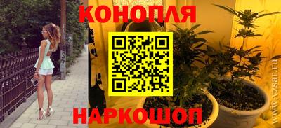 прущие грибы Балаково