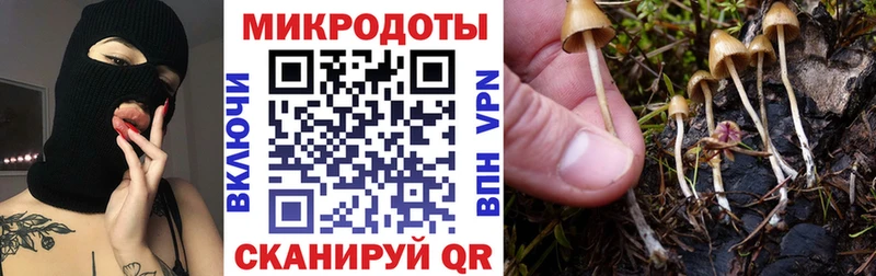 Галлюциногенные грибы GOLDEN TEACHER  Всеволожск 