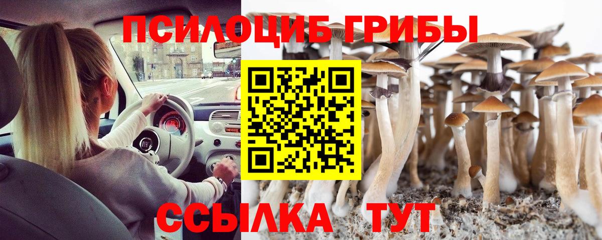 Галлюциногенные грибы мицелий  Псилоцибиновые грибы мицелий  Вход с VPN  Всеволожск 
