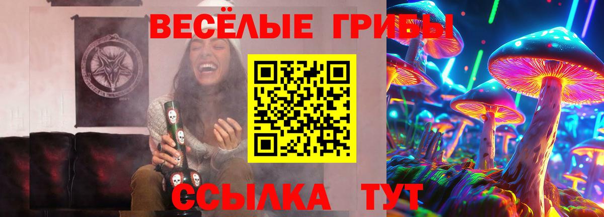 Псилоцибиновые грибы Cubensis Всеволожск