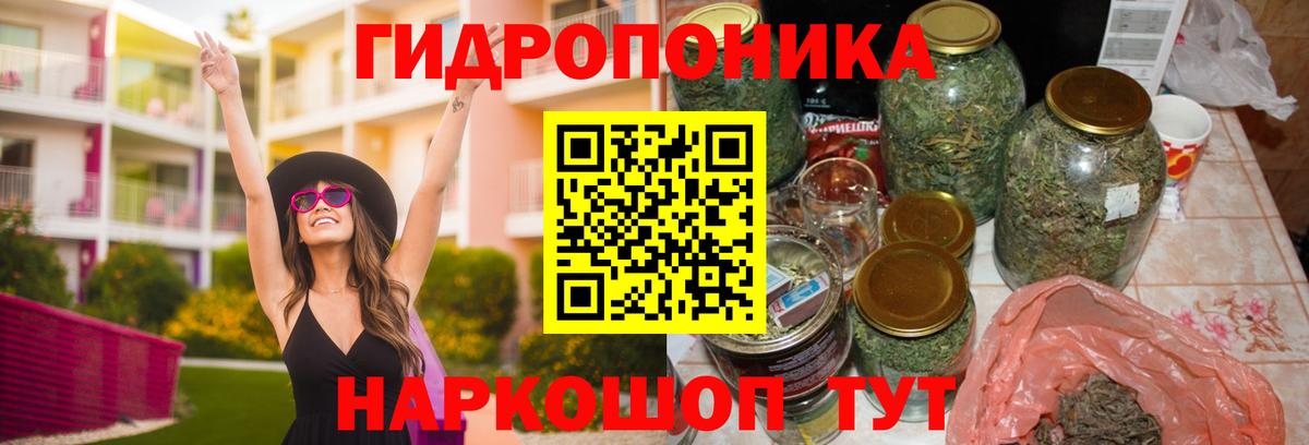 Марихуана семена  Всеволожск  Конопля сатива  Каннабис Ganja 